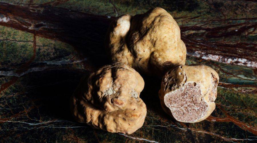 Menu tartufo bianco | White Truffle Menu