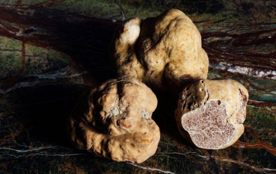 Menu tartufo bianco | White Truffle Menu