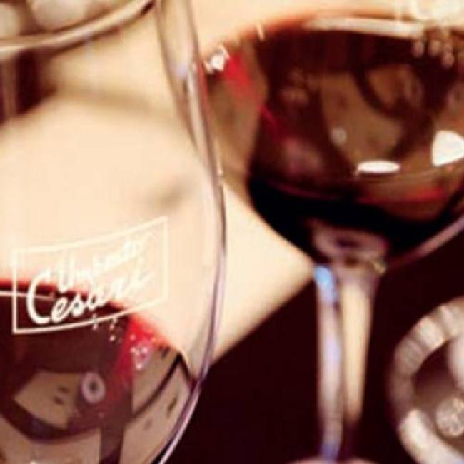 Wine tours &amp; Experience