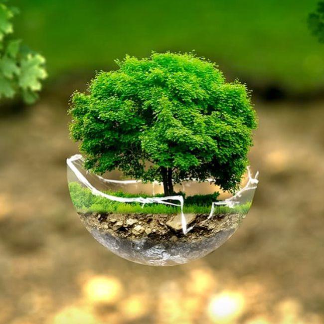 Sostenibilità | Sustainability