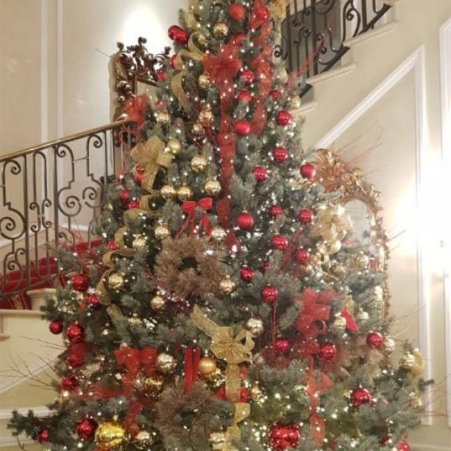 Festività Natalizie | Christmas festivities
